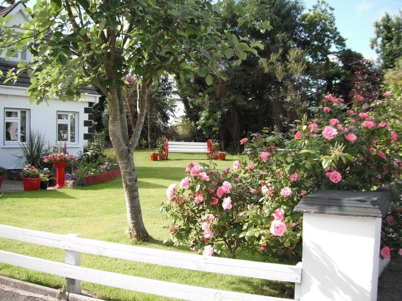 Briar Lodge Bunratty Exteriör bild